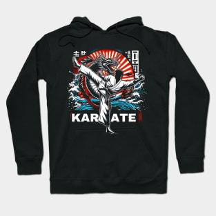 Karate Fighter Hoodie